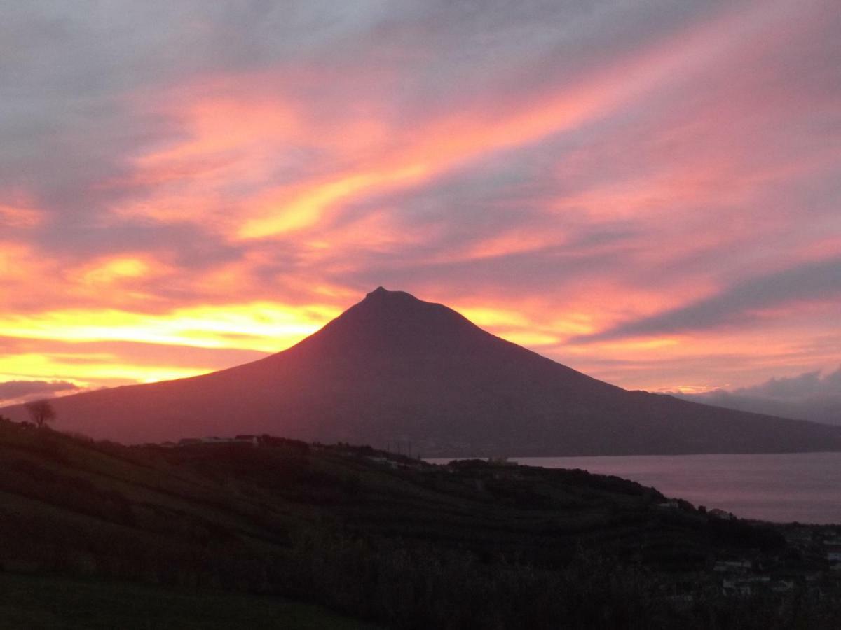 Holiday home Casa Farrobo Horta (Azores)